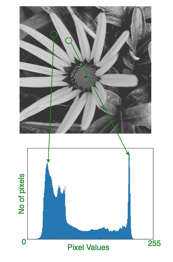 histogram_sample