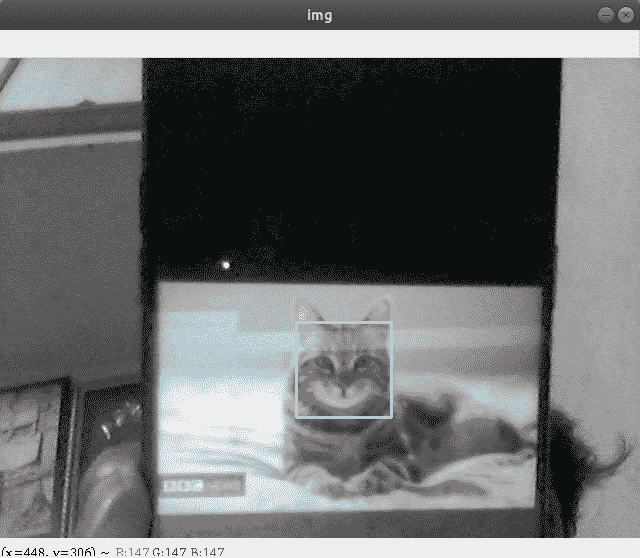 python-cat-face-detection